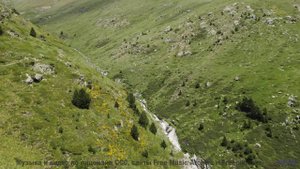 Звуки, способные перезагрузить ваш мозг - проверьте на себе! - Gruyere -- Podington Bear -- Homage F