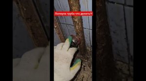 Лопнула труба на стояке, как устранить течь. #ремонтвд?