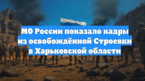 МО России показало кадры из освобождённой Строевки в Харьковской области