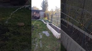 Новая скважина вместо старой и как обустроить место п?