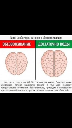 С чем согласны, а с чем нет?