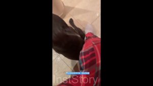 Ида Галич переезжает в новую квартиру.Съёмки вайна с Н