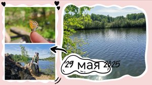Природа, шутки, немного о книгах и жизни
Цирковой номер мухи и БАБОЧКИ!