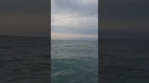 Абхазия- это не только Гагра, Пицунда, Новый Афон. Изуч?