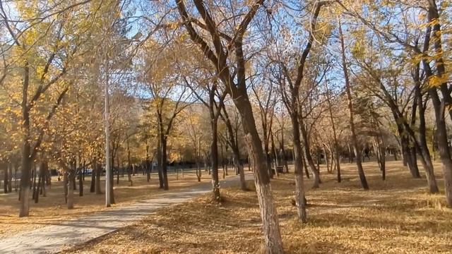 Ты получила квартиру в наследство от бабушки. Тебе над
