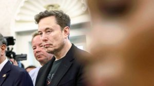 СМИ узнали о планах Илона Маска после ухода из политики
