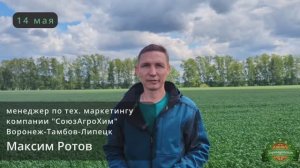 Комплексная защита озимой пшеницы.