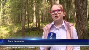 В Пермском крае продолжается реализация проектов инициативного бюджетирования. Соликамск ТВ.