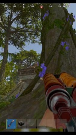 rust  двушка