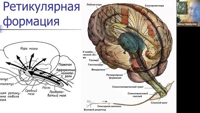 Минвалеев Р.С. - Тибетская йога туммо и медитация дзэн: смотреть онлайн
