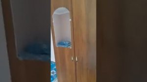 Абхазия Новый Афон, гулия 13 89817454934