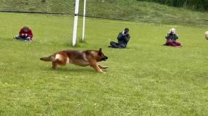 5 Отл. Ал&Ан ГАЙКА +++ №77 / КЧК+ БОРИСОВ (BY) 17 мая`25 M.Jovovic Моно нем.овч.