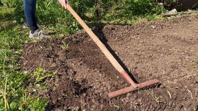 Создание грядок и посадка овощей! Как все сделать ?