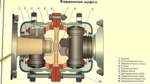 Карданная муфта