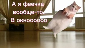 Пов иду на танцы