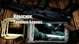 46. S.T.A.L.K.E.R НС 2016. Крысюк. Тайники Борова.
