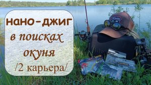 нано-джиг, в поисках окуня (2 карьера)