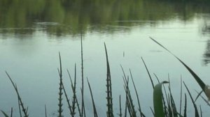 НА РЫБАЛКЕ РАЗГОВОРЫ О СЕКРЕТАХ И САМОДЕЛКАХ