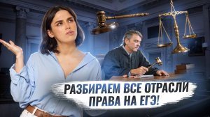 Отрасли права для 14, 15, 16 задания Обществознание ЕГЭ 2025 | Умскул