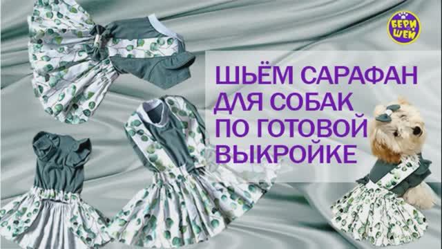 Сарафан с блузкой для собак