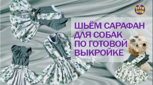 Сарафан с блузкой для собак
