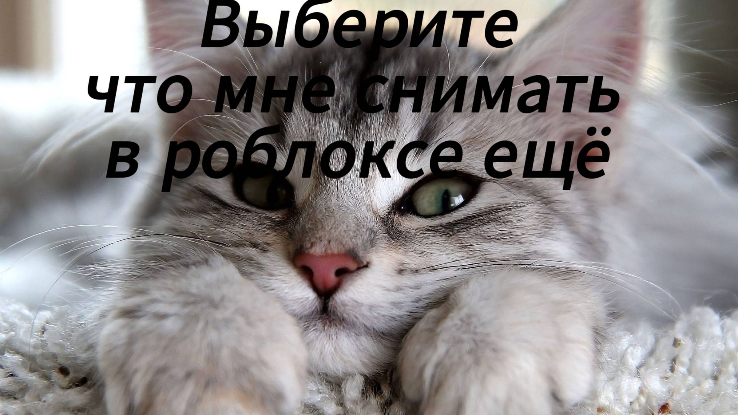 Выбор