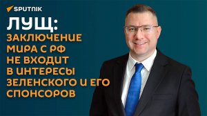 Лущ: заключение мира с РФ не входит в интересы Зеленского и его спонсоров