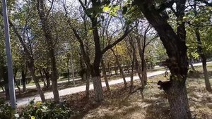 Мы теперь семья, я твой законный муж, ты должна перепис