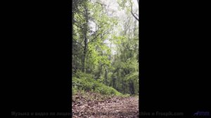 Музыка для цифрового бессмертия - готовы ли вы к этому - Shining Ending -- Soft and Furious -- Bae