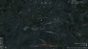 ✅Skyrim: Requiem✅  Разрыв седалища в прямом эфире! #rfab #skyrim #скайрим #requiem #stream 15ч