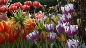 Мир нашей жизни ч.2