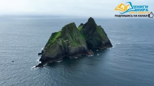 Эксперт по Медитации Роберт Адамс Делится своими Лучш