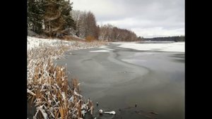 Сестра выгнала маму из дома, так что теперь она переед?
