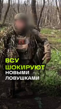 Мины-печеньки и грибы: ВСУ шокируют новой тактикой под Часовым Яром
