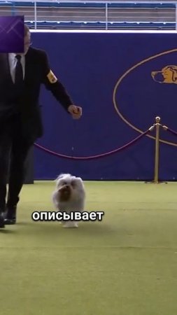 Лёвхен