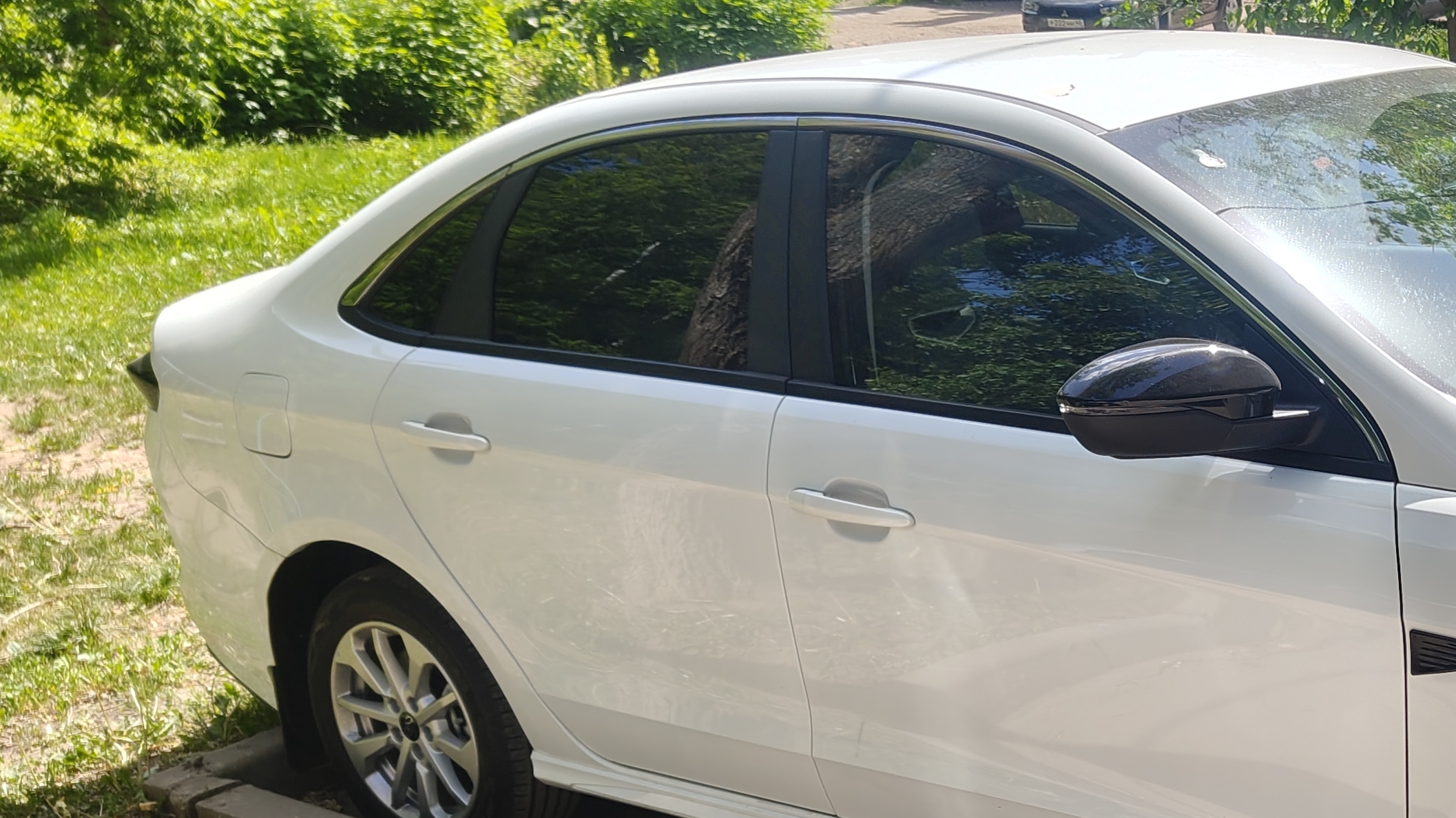 Тонировка задней полусферы