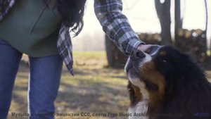 Музыка для аватаров - готовы к цифровому я - Someone Real - Jenna Jay -- Jenna Jay -- Unnamed album