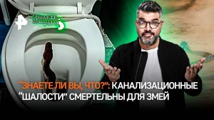 Канализационный “лабиринт” глазами змей. “Знаете ли вы что?”: переживают гибкие гады на пути к вам