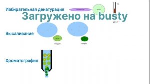 Методы исследования белков