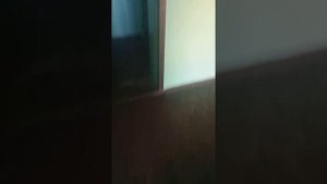 АЛКАШ СЖЕГ КВАРТИРУ! И КВАРТИРУ СОСЕДКИ СВЕРХУ!