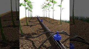 Схема капельного полива за 30 секунд. Капельный полив в теплице