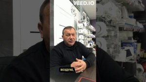 Плесень в доме: причины появления.