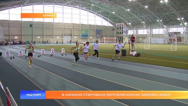 В Саранске стартовала республиканская «Шиповка Юных» смотреть онлайн