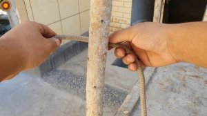 The functions of 2 wonderful nodes in everyday life