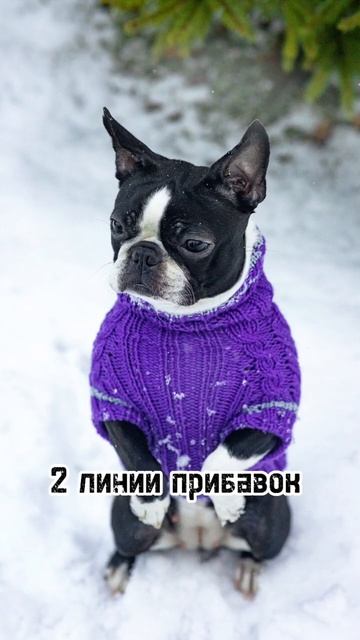 Вязаные модели для собак смотреть онлайн