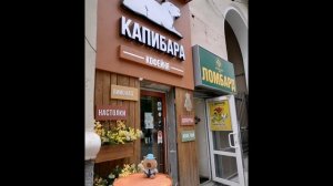 Анапа - Екатеринбург! | капибары
