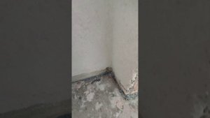 Гидроизоляция душевого трапа