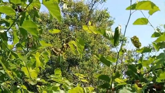 Дедушка брата в один миг стала моей смотреть онлайн