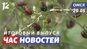 Нашествие жуков / День военного автомобилиста / Перекроют дорогу. Новости Омска