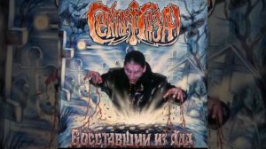 Сектор газа - сельский туалет (Альбом: Восставший из ад